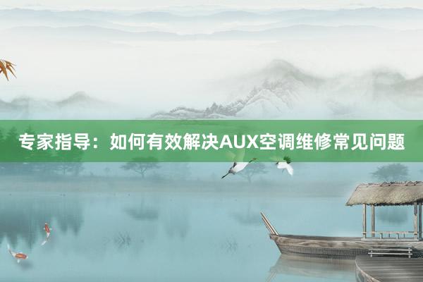 专家指导：如何有效解决AUX空调维修常见问题